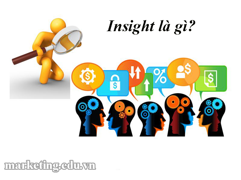 Insight là gì? Kỹ thuật tìm kiếm insight của khách hàng hiệu quả nhất