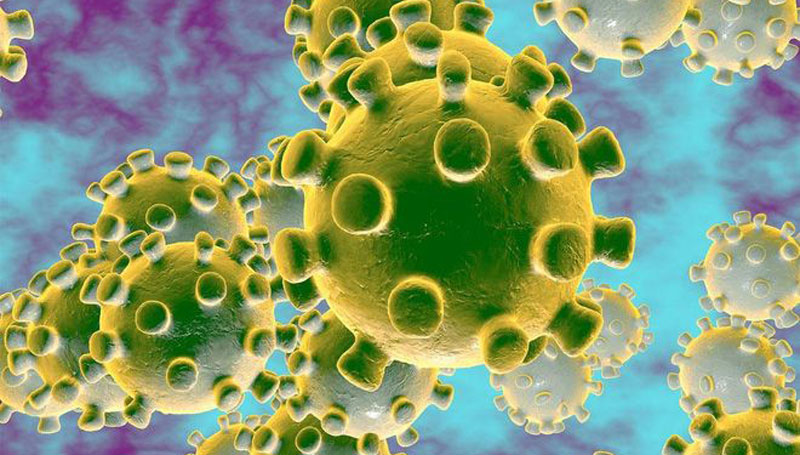 Virus corona là gì? Nguyên nhân, triệu chứng
