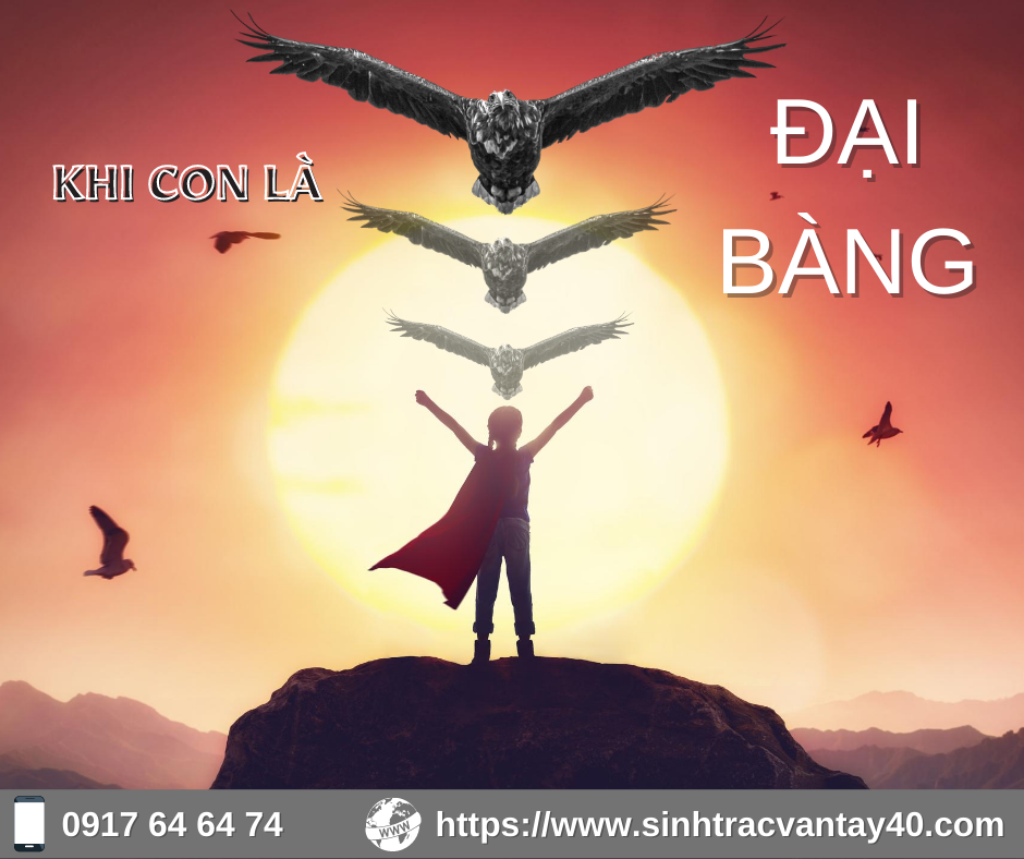 NHÓM WHORL ( ĐẠI BÀNG ) - ỨNG DỤNG STVT ĐỂ THẤU HIỂU VÀ YÊU THƯƠNG