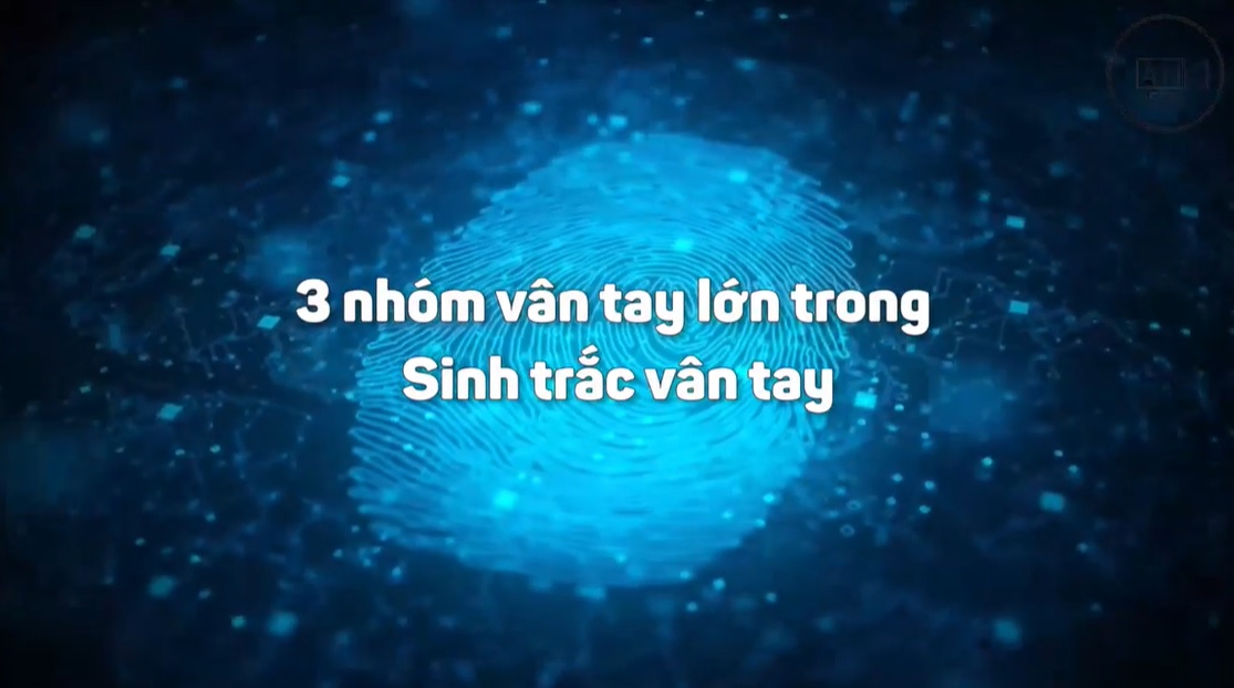 GEN TALENTS 3 - 3 nhóm vân tay lớn trong Sinh trắc vân tay