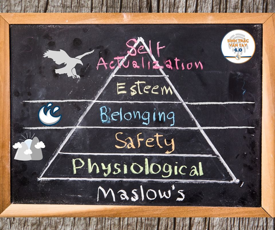 THÁP NHU CẦU MASLOW TRONG STVT