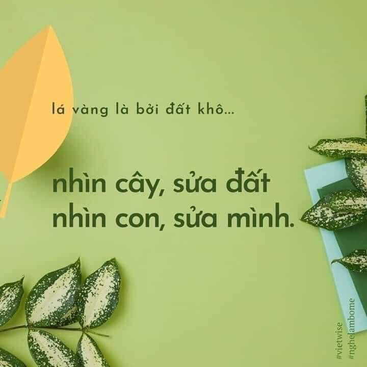 Chia sẻ của một người mẹ