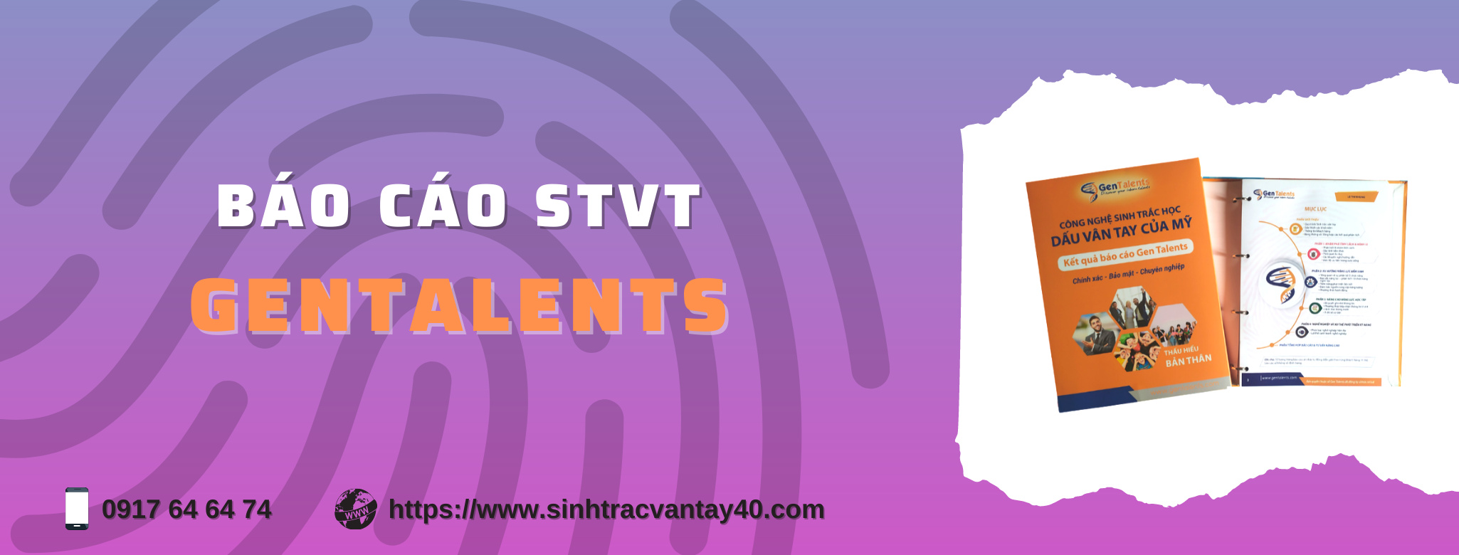 Báo cáo