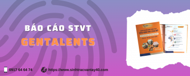 Báo cáo